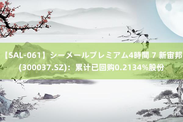 【SAL-061】シーメールプレミアム4時間 7 新宙邦(300037.SZ)：累计已回购0.2134%股份