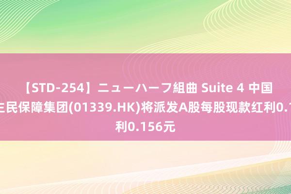 【STD-254】ニューハーフ組曲 Suite 4 中国东谈主民保障集团(01339.HK)将派发A股每股现款红利0.156元