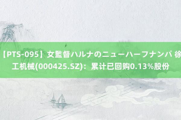 【PTS-095】女監督ハルナのニューハーフナンパ 徐工机械(000425.SZ)：累计已回购0.13%股份