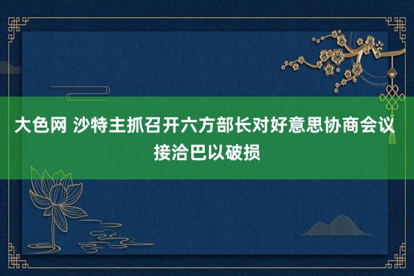 大色网 沙特主抓召开六方部长对好意思协商会议 接洽巴以破损