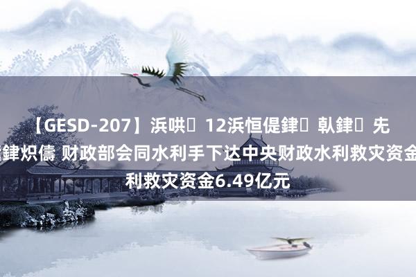 【GESD-207】浜哄12浜恒偍銉倝銉兂銉€銉笺儵銉炽儔 财政部会同水利手下达中央财政水利救灾资金6.49亿元