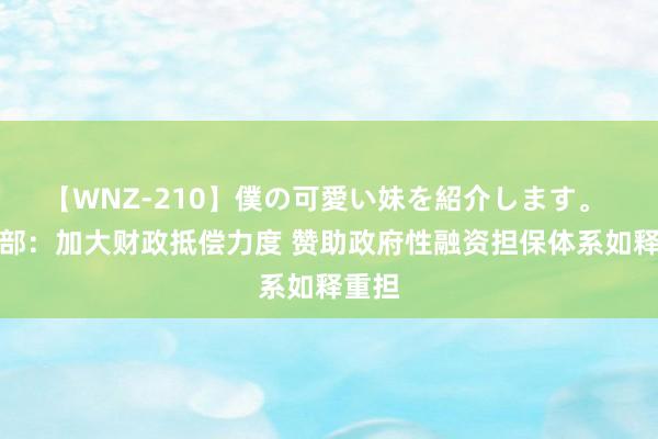 【WNZ-210】僕の可愛い妹を紹介します。 财政部：加大财政抵偿力度 赞助政府性融资担保体系如释重担