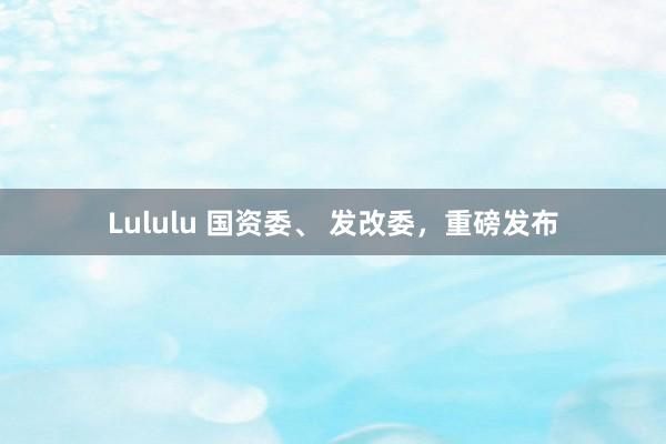 Lululu 国资委、 发改委，重磅发布