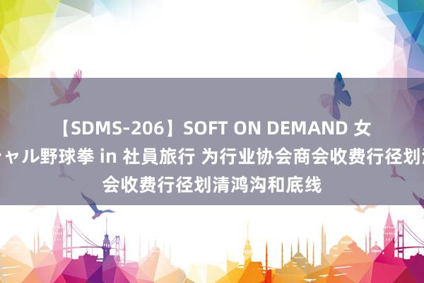 【SDMS-206】SOFT ON DEMAND 女子社員スペシャル野球拳 in 社員旅行 为行业协会商会收费行径划清鸿沟和底线