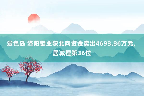 爱色岛 洛阳钼业获北向资金卖出4698.86万元, 居减捏第36位