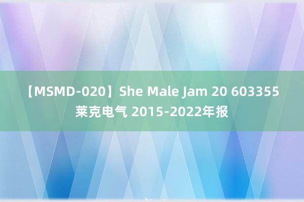 【MSMD-020】She Male Jam 20 603355 莱克电气 2015-2022年报