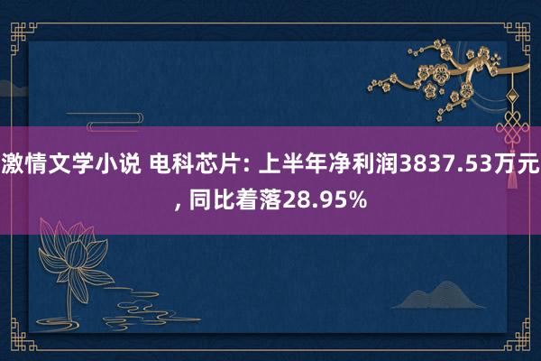 激情文学小说 电科芯片: 上半年净利润3837.53万元, 同比着落28.95%