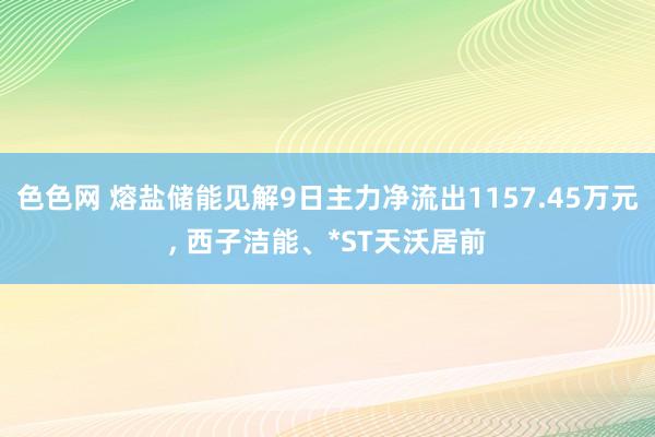 色色网 熔盐储能见解9日主力净流出1157.45万元, 西子洁能、*ST天沃居前