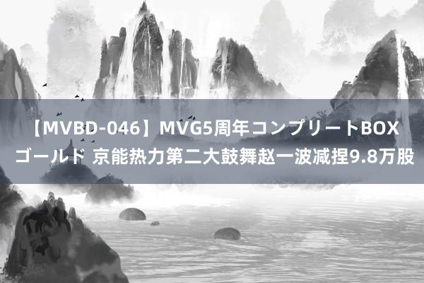 【MVBD-046】MVG5周年コンプリートBOX ゴールド 京能热力第二大鼓舞赵一波减捏9.8万股