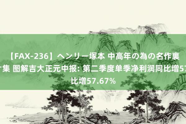 【FAX-236】ヘンリー塚本 中高年の為の名作裏ビデオ集 图解吉大正元中报: 第二季度单季净利润同比增57.67%