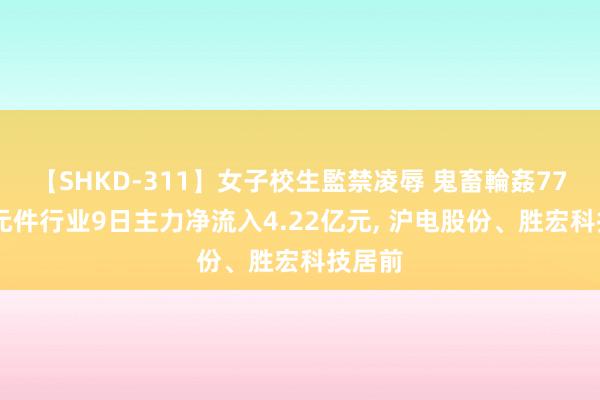 【SHKD-311】女子校生監禁凌辱 鬼畜輪姦77 电子元件行业9日主力净流入4.22亿元, 沪电股份、胜宏科技居前