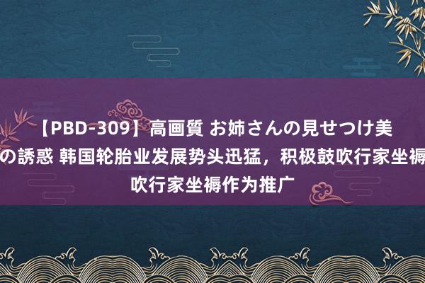 【PBD-309】高画質 お姉さんの見せつけ美尻＆美脚の誘惑 韩国轮胎业发展势头迅猛，积极鼓吹行家坐褥作为推广