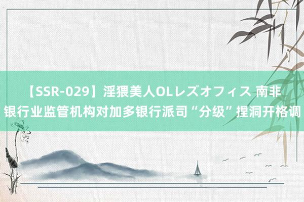 【SSR-029】淫猥美人OLレズオフィス 南非银行业监管机构对加多银行派司“分级”捏洞开格调