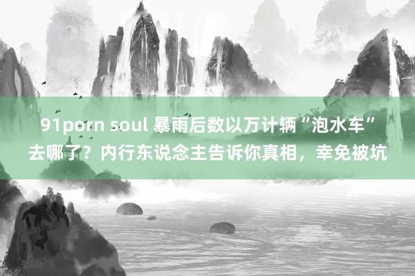 91porn soul 暴雨后数以万计辆“泡水车”去哪了？内行东说念主告诉你真相，幸免被坑