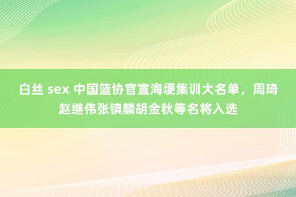 白丝 sex 中国篮协官宣海埂集训大名单，周琦赵继伟张镇麟胡金秋等名将入选