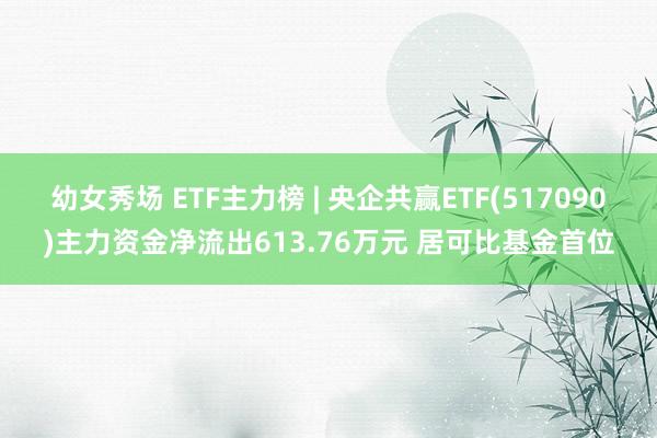 幼女秀场 ETF主力榜 | 央企共赢ETF(517090)主力资金净流出613.76万元 居可比基金首位