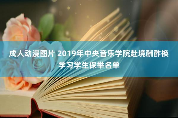 成人动漫图片 2019年中央音乐学院赴境酬酢换学习学生保举名单