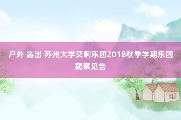 户外 露出 苏州大学交响乐团2018秋季学期乐团窥察见告