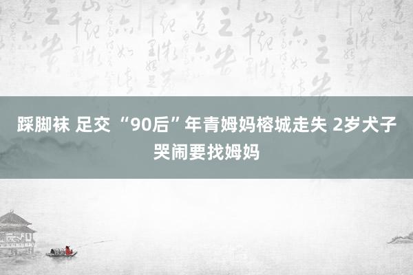 踩脚袜 足交 “90后”年青姆妈榕城走失 2岁犬子哭闹要找姆妈