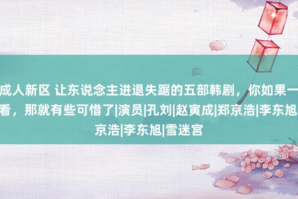 成人新区 让东说念主进退失踞的五部韩剧，你如果一部齐没看，那就有些可惜了|演员|孔刘|赵寅成|郑京浩|李东旭|雪迷宫